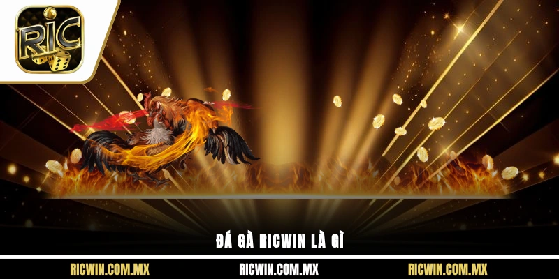 Đá gà Ricwin là gì?