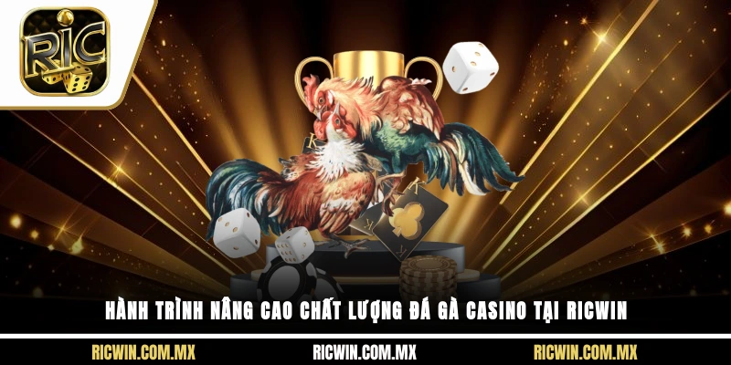 Hành trình nâng cao chất lượng đá gà casino tại Ricwin