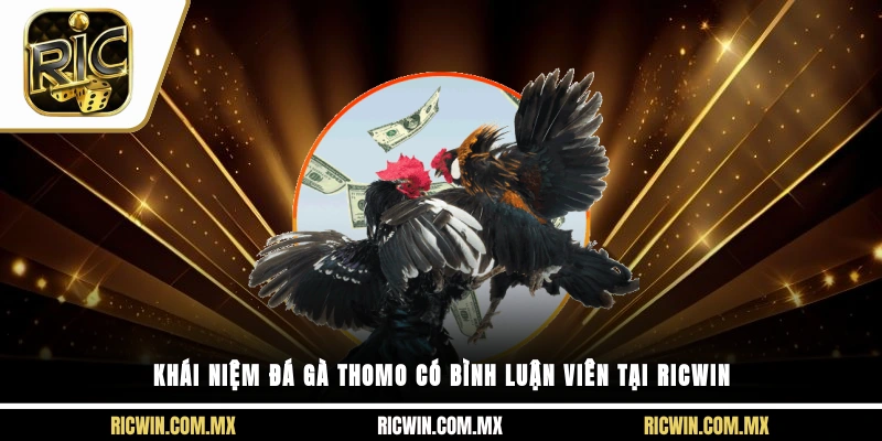 Khái niệm đá gà thomo có bình luận viên tại Ricwin