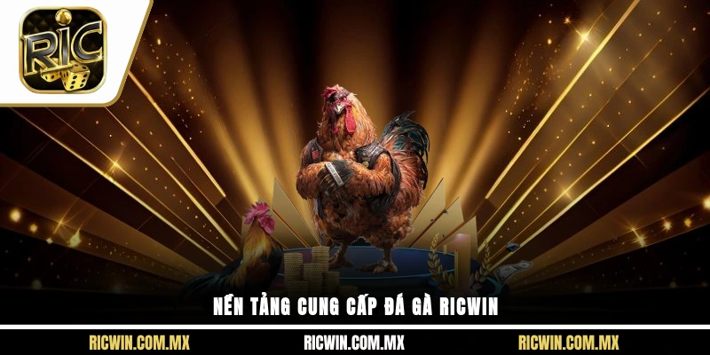 Nền tảng cung cấp đá gà Ricwin