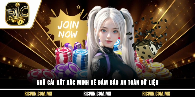 Nhà cái bắt xác minh để đảm bảo an toàn dữ liệu