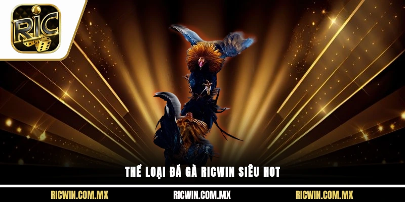 Thể loại đá gà Ricwin siêu hot