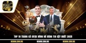 Top 10 trang cá cược bóng đá